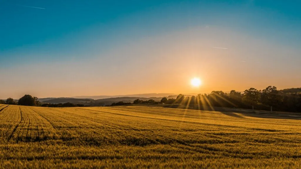 Sunrise over fields